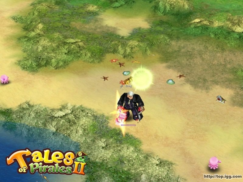 Tales of Pirates 2 - кадр 13