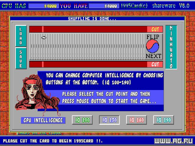 1995card Games - кадр 2