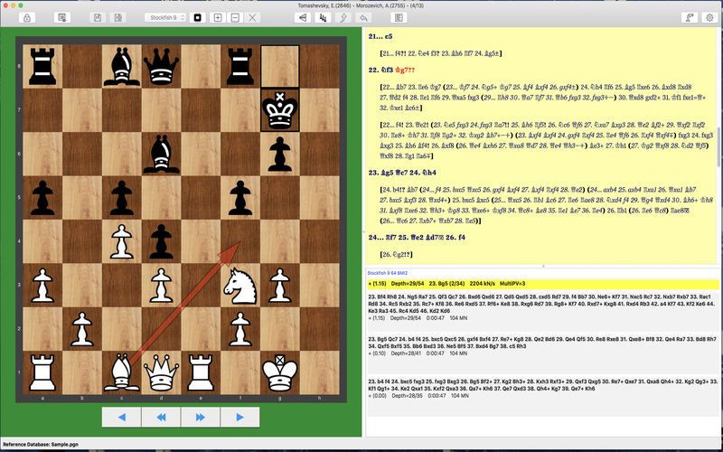 Chess Studio - кадр 10