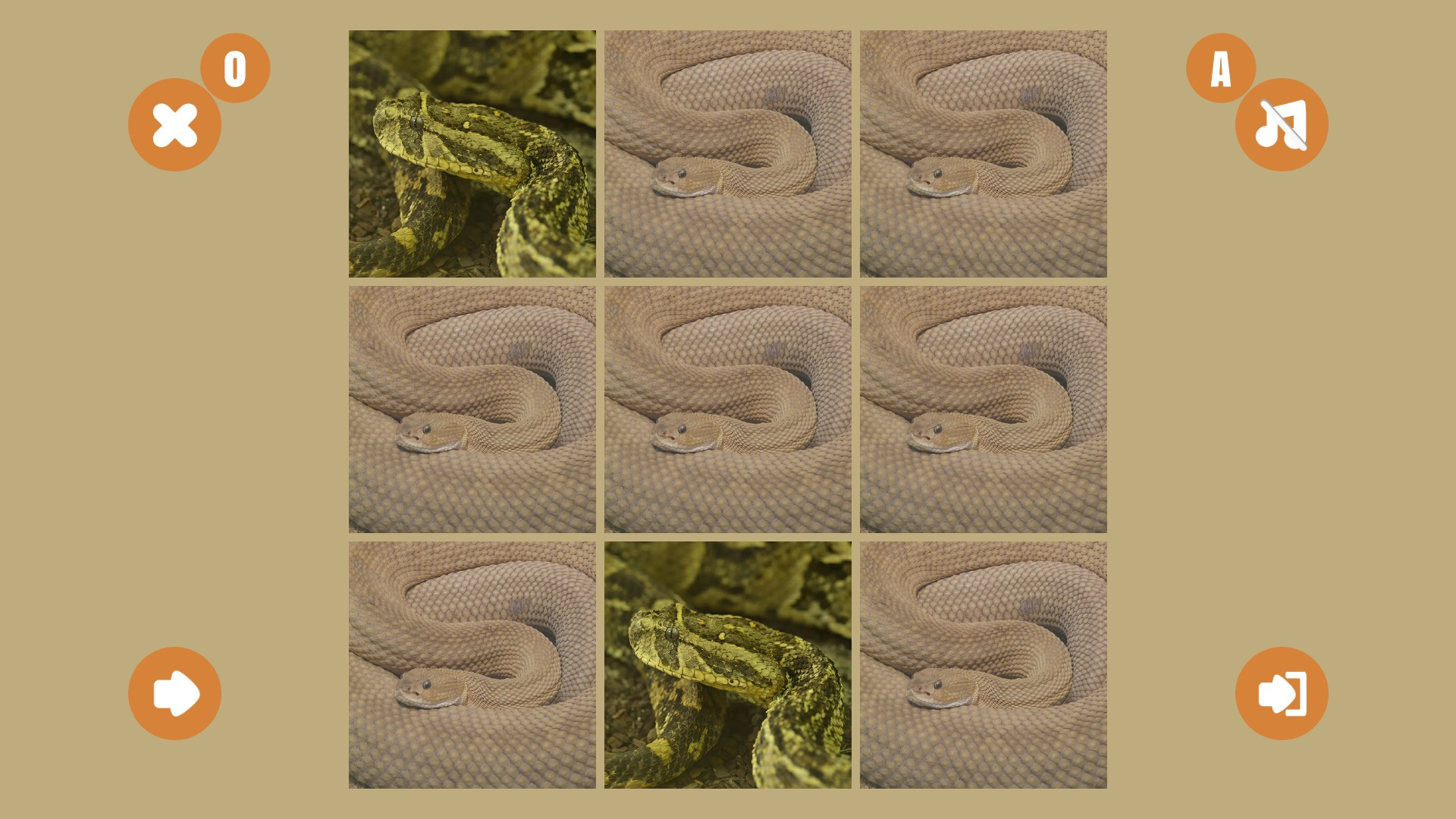 Snake couple - кадр 4