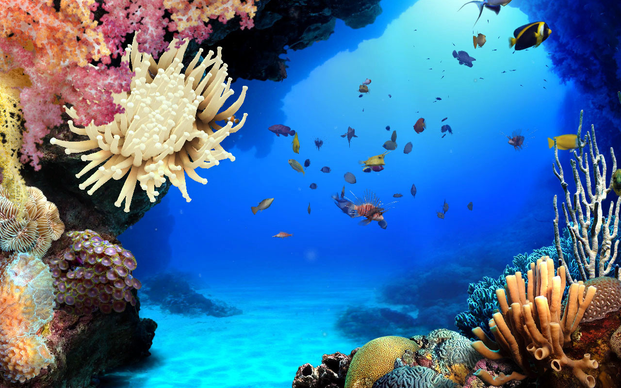 DigiFish Aqua Real 2 - кадр 6