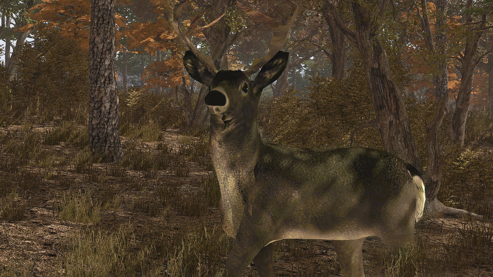 Pro Deer Hunting - кадр 8