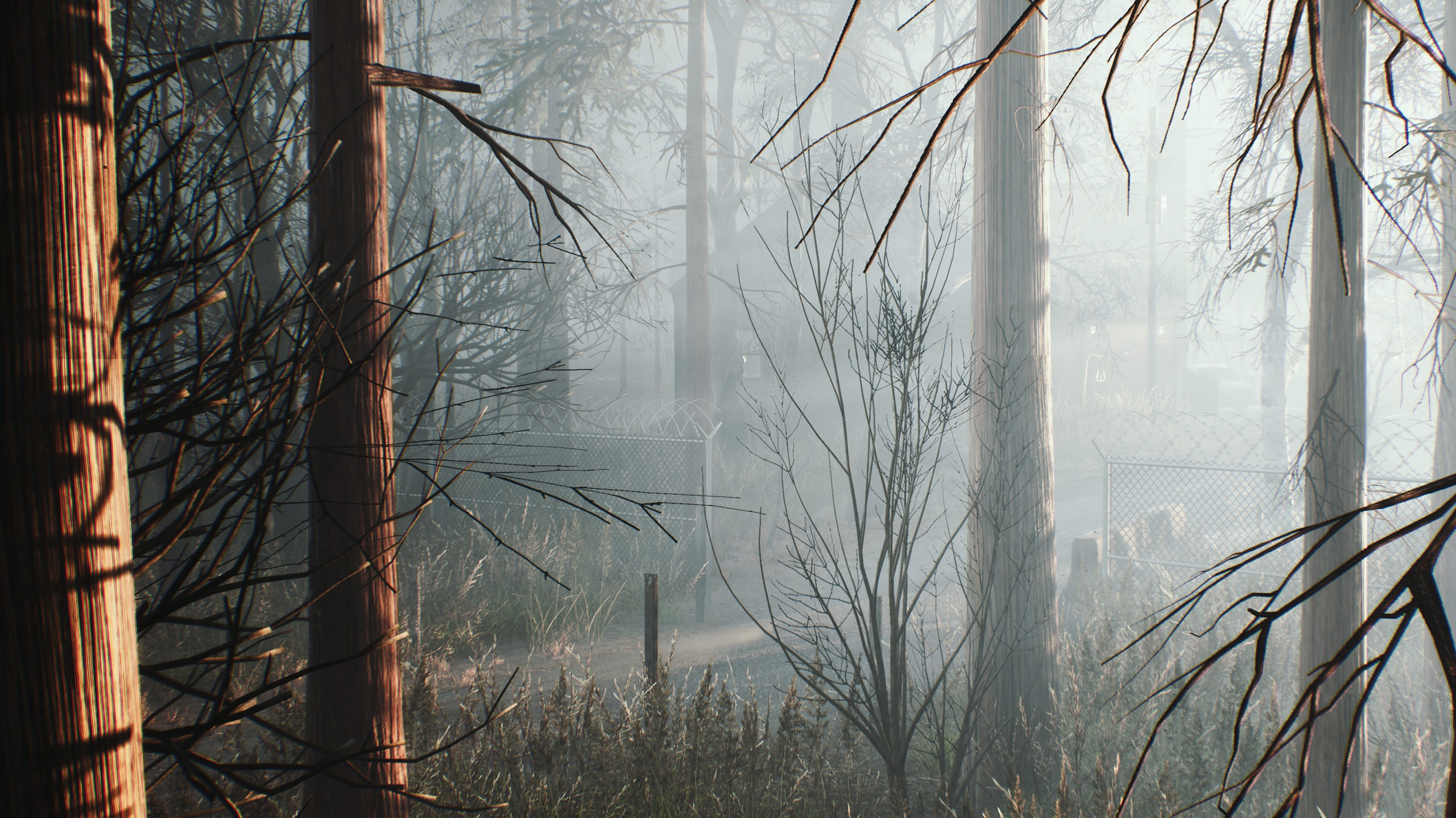 Hide Or Die - кадр 9