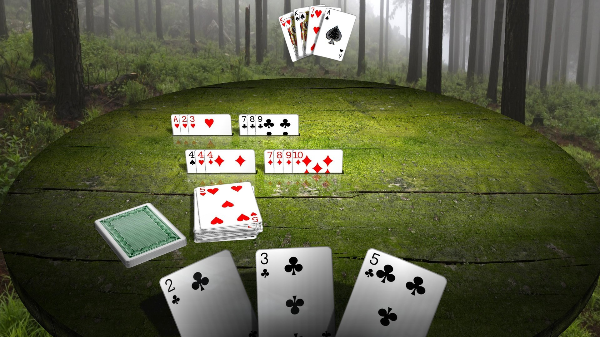 Gin Rummy 3D Premium - кадр 9