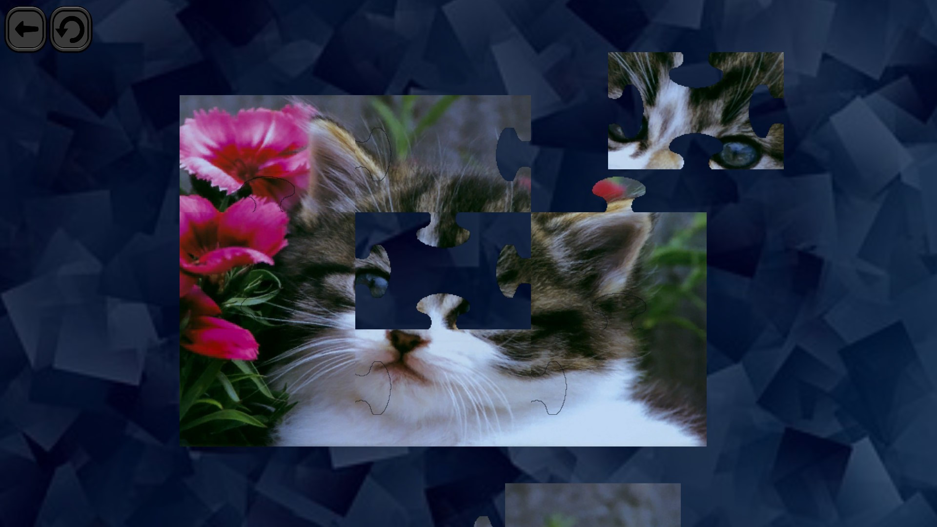 Puzzles for smart: Cats - кадр 3