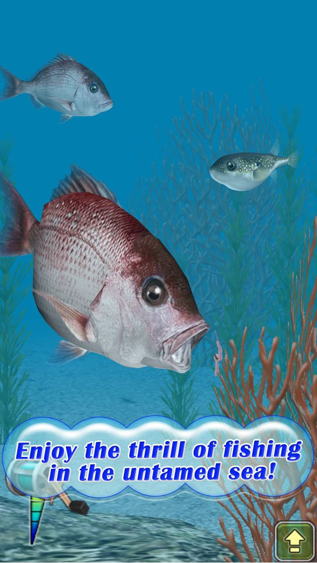 Reel Fishing Pocket 2: Ocean - кадр 4