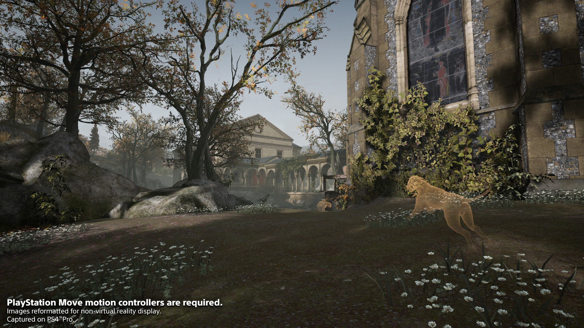 Déraciné - кадр 7