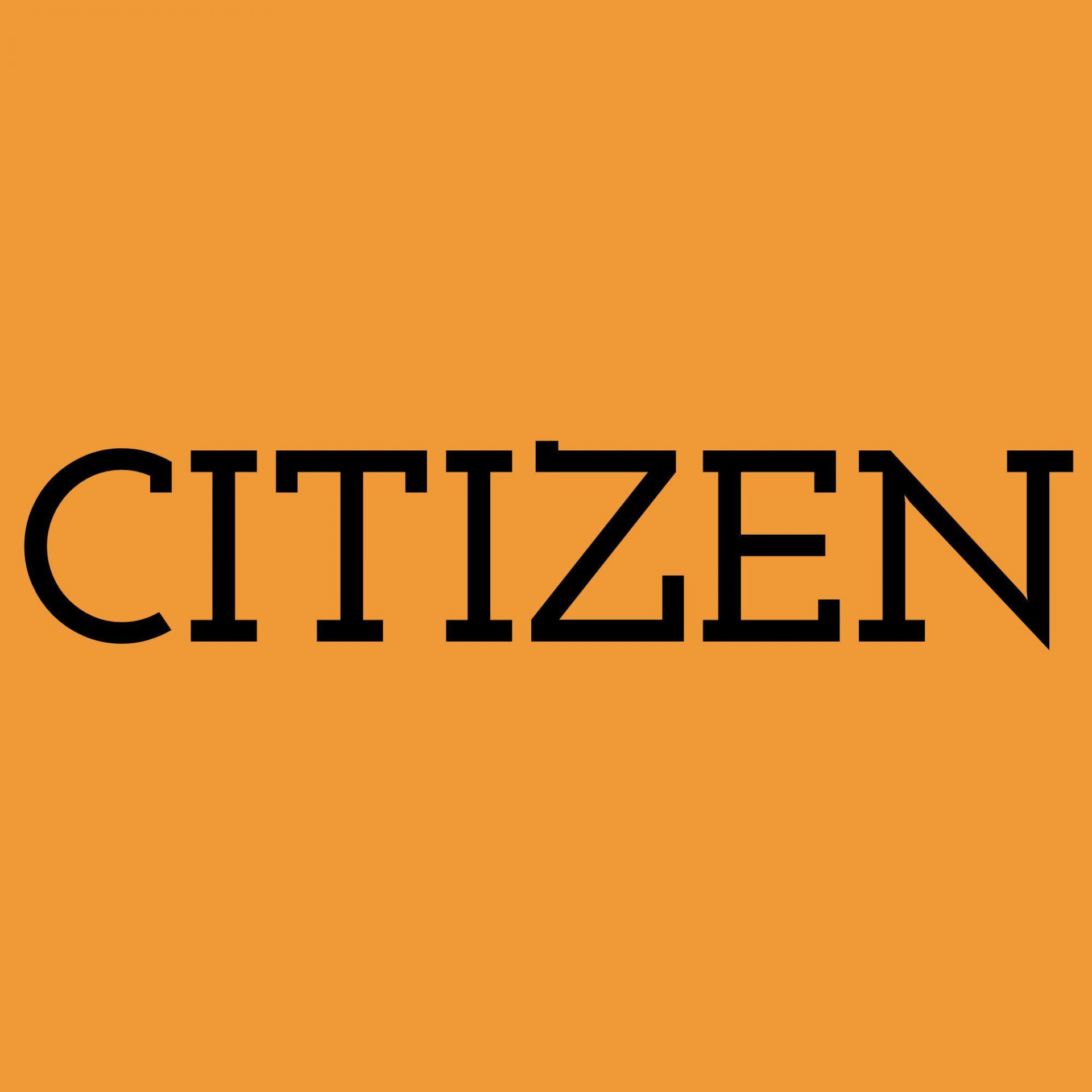CITIZEN (itch) - кадр 1