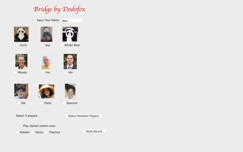 Bridge by Dodofox - кадр 3