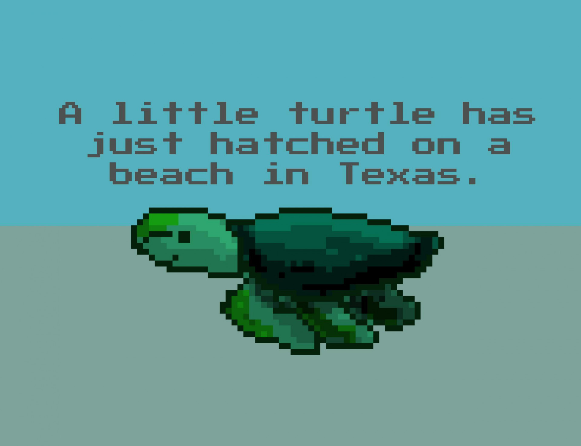 A little turtle has just hatched on a beach in Texas. (itch) - кадр 1