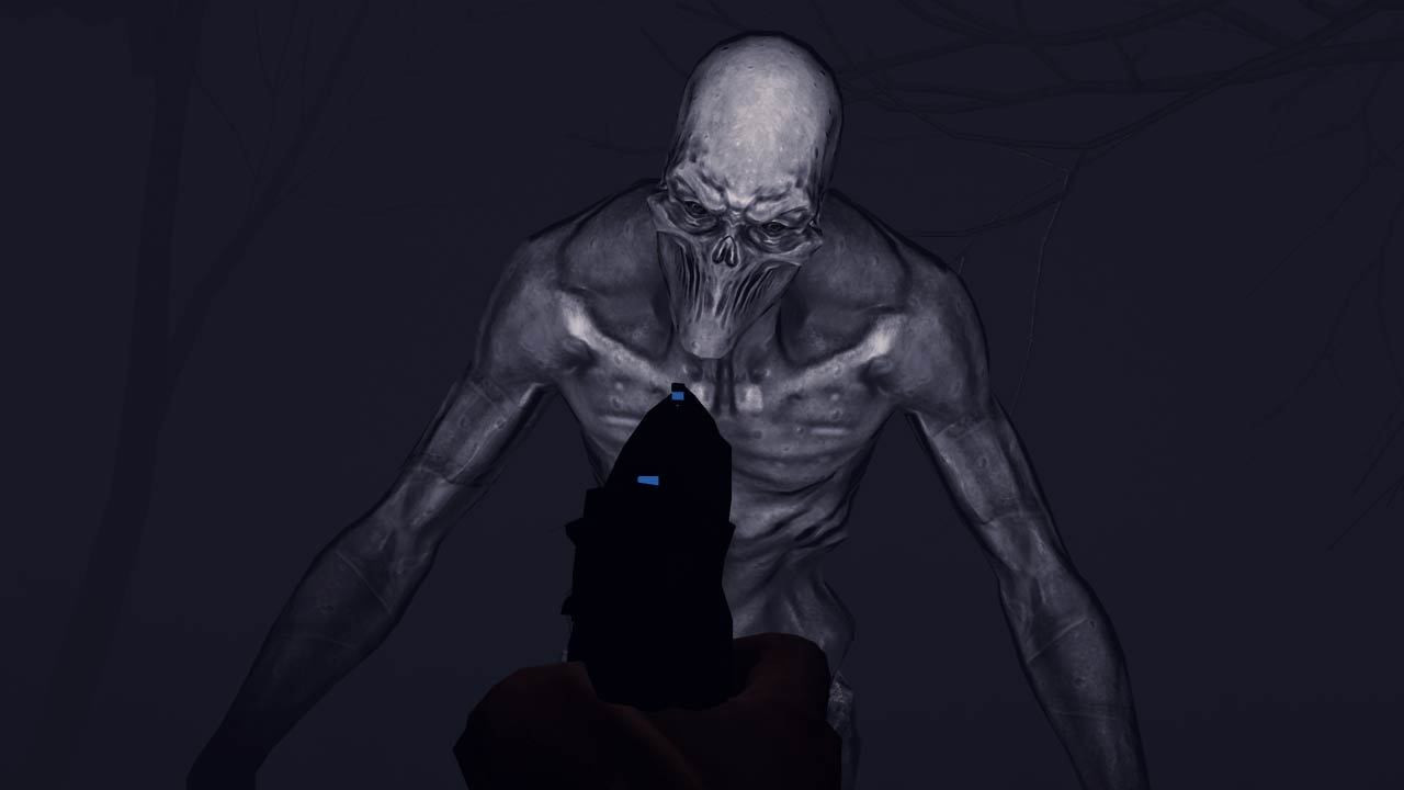 Wraith (VR) - кадр 4