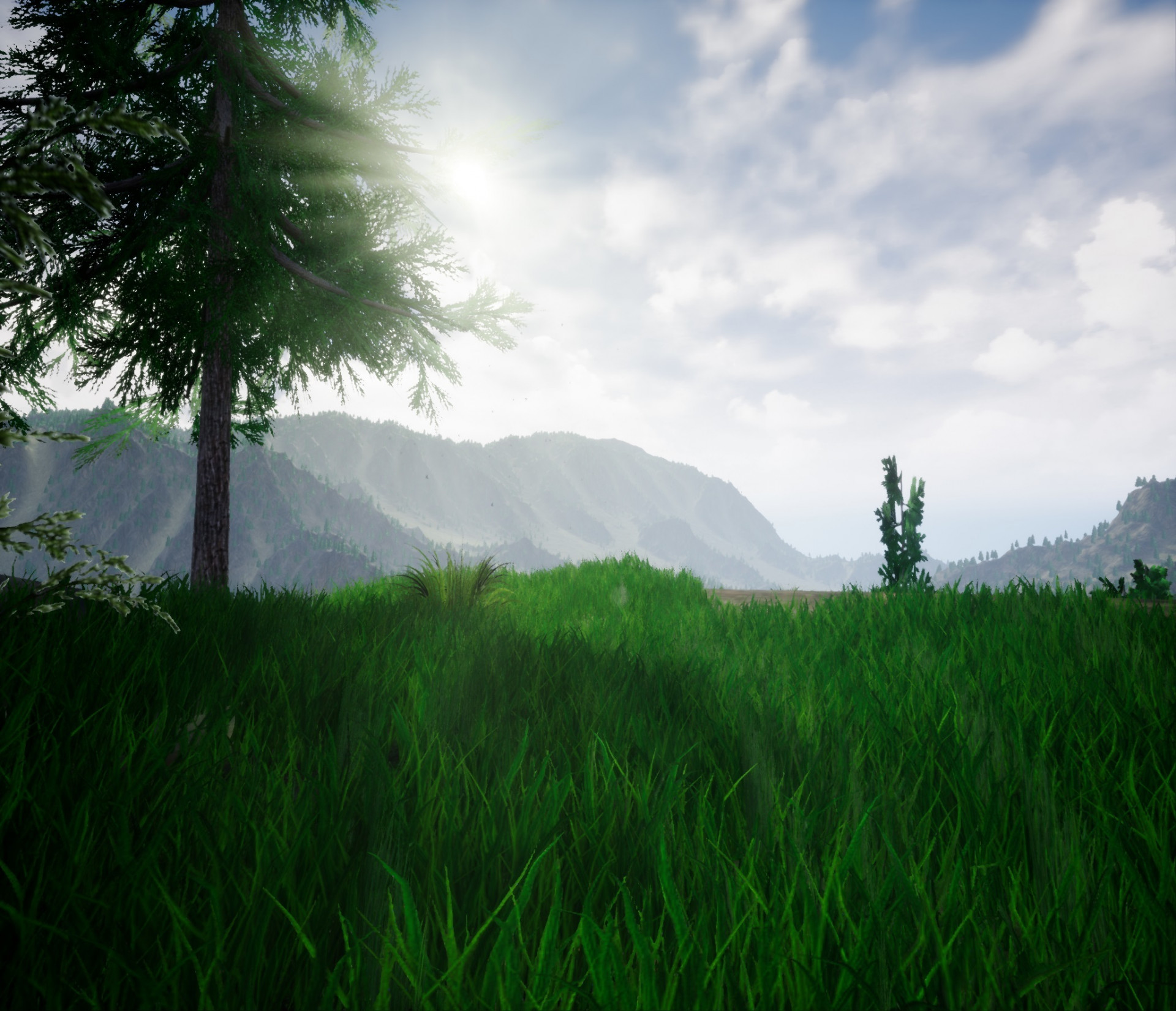 Race of Survival (itch) - кадр 8