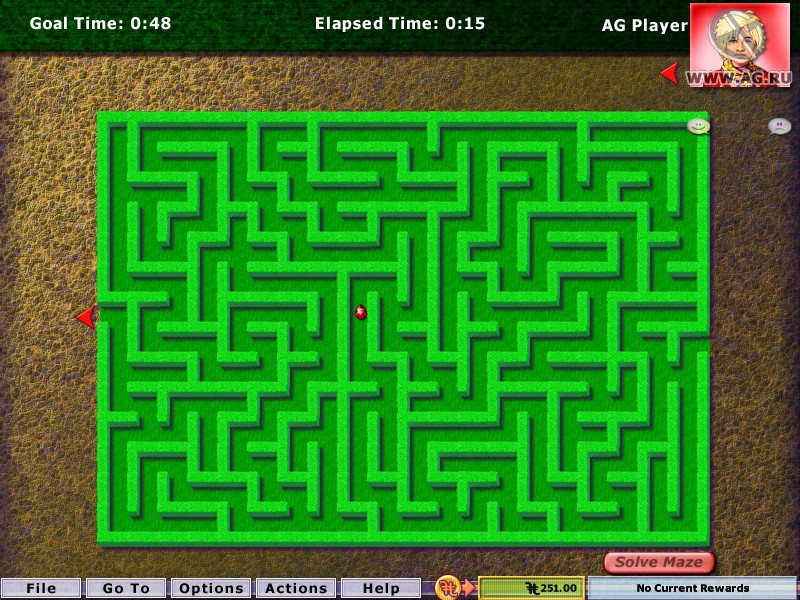 Hoyle Puzzle & Board Games (2010) - кадр 8