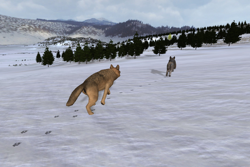WolfQuest - кадр 6