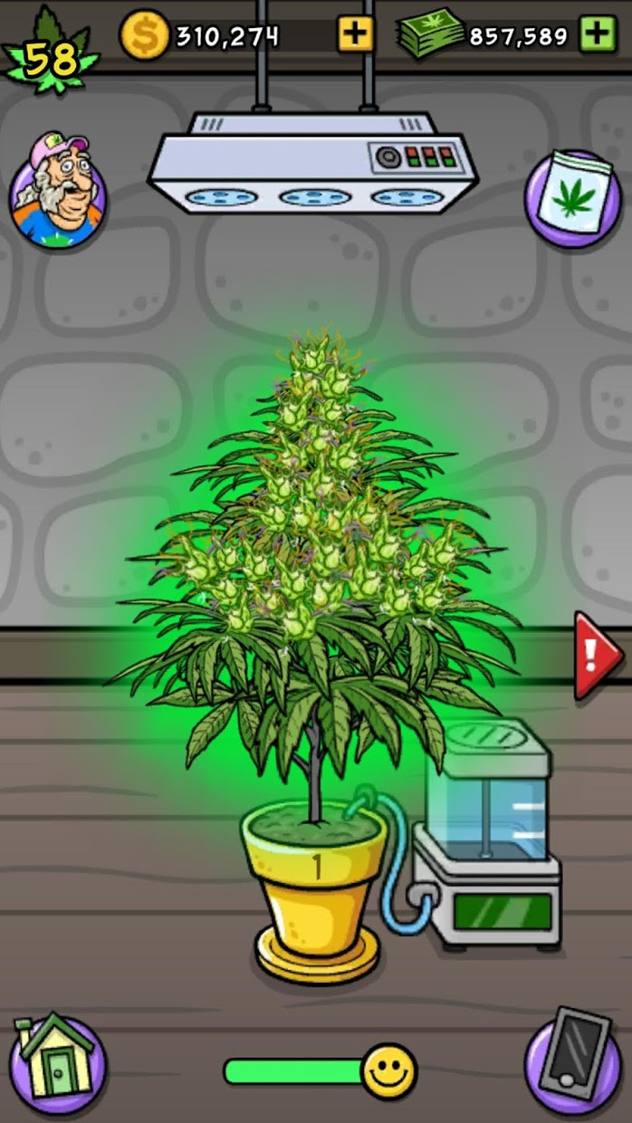 Pot Farm: Grass Roots - кадр 14