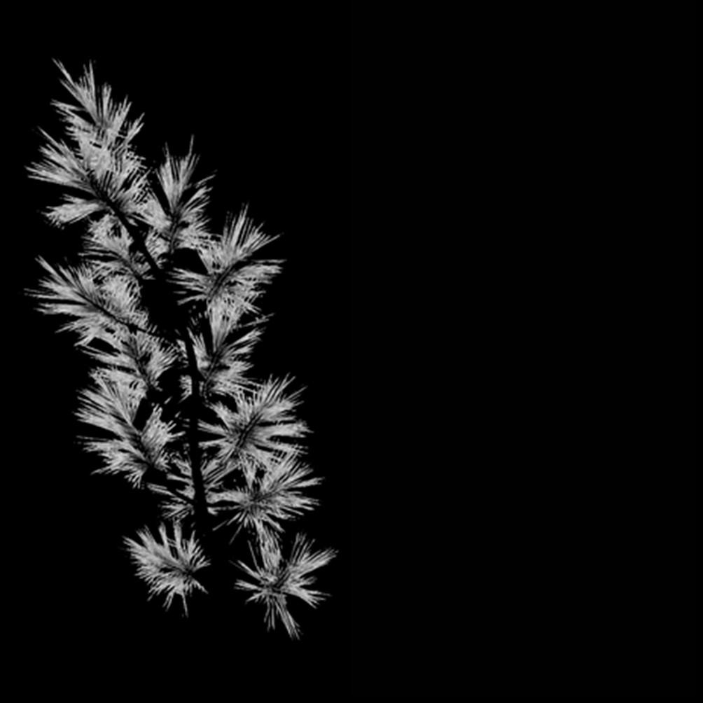 Darkness Demo (itch) - кадр 1