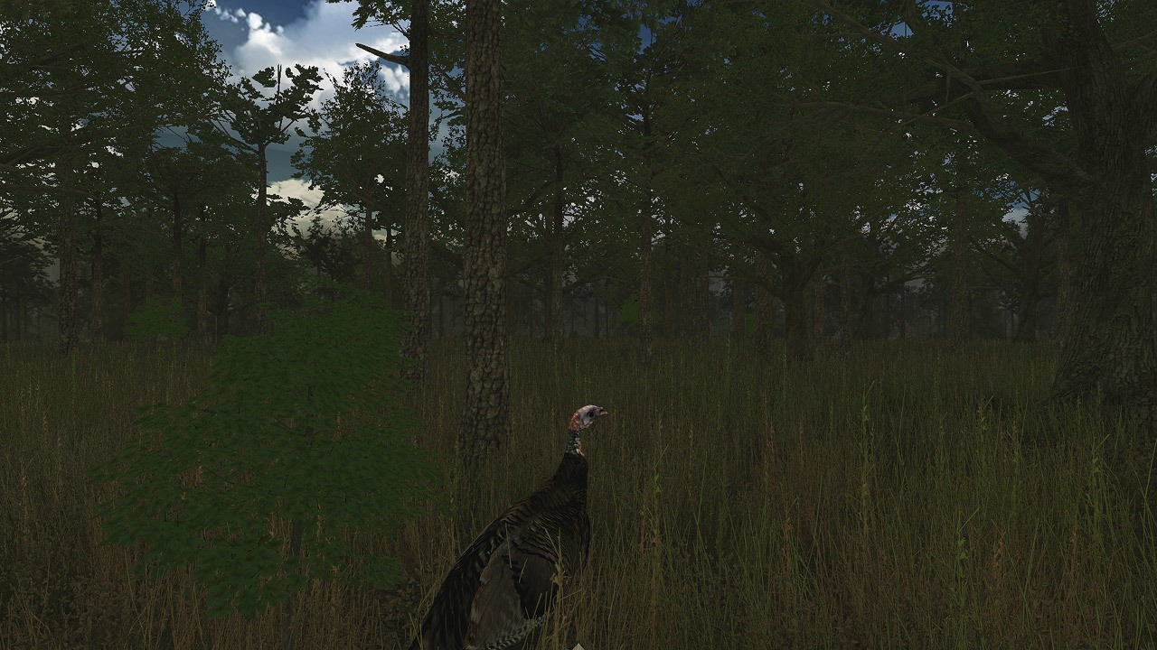 Wild Turkey Hunter VR - кадр 2