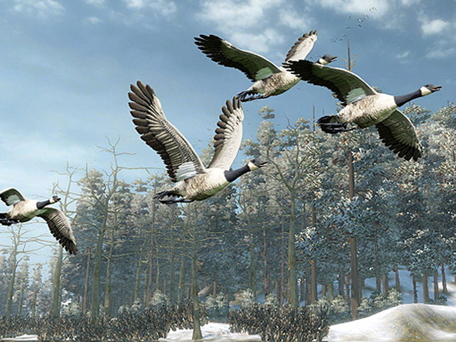 Cabela's Outdoor Adventures - кадр 6