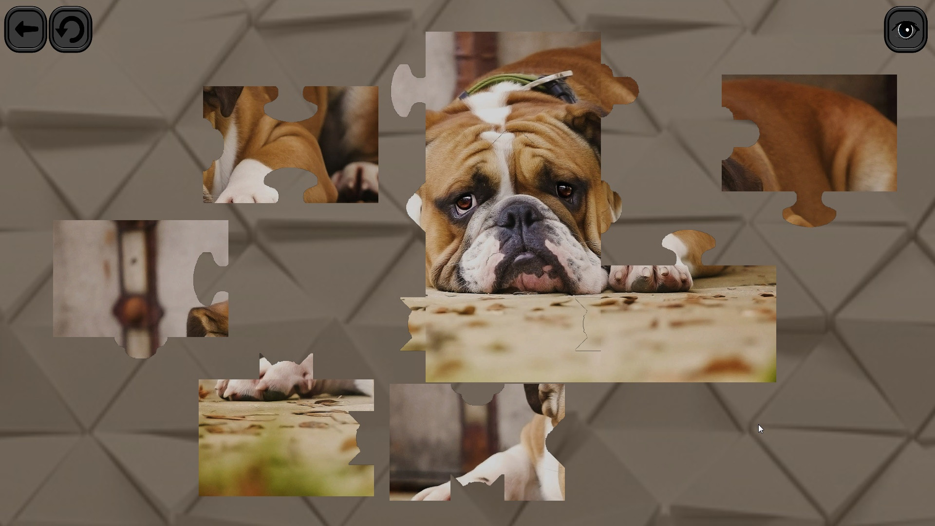 Puzzles for smart: Dogs - кадр 1