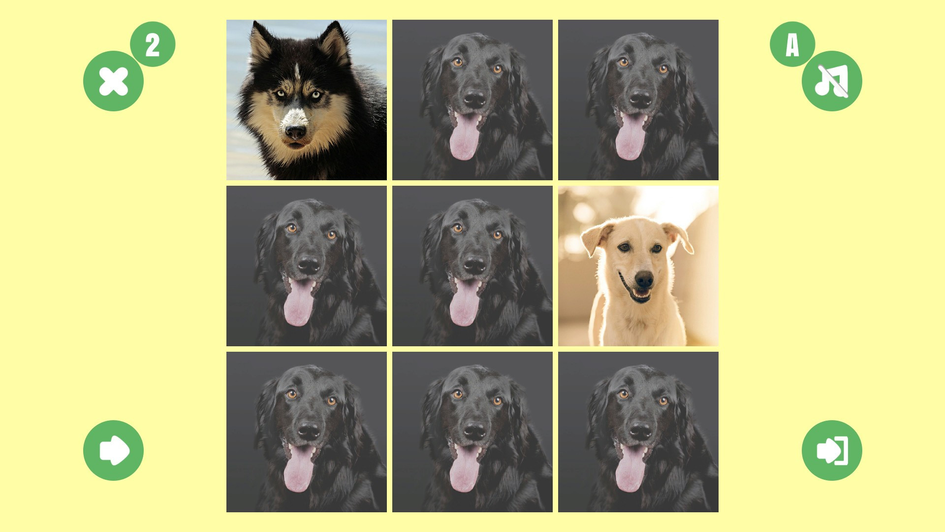 Dog couple - кадр 3