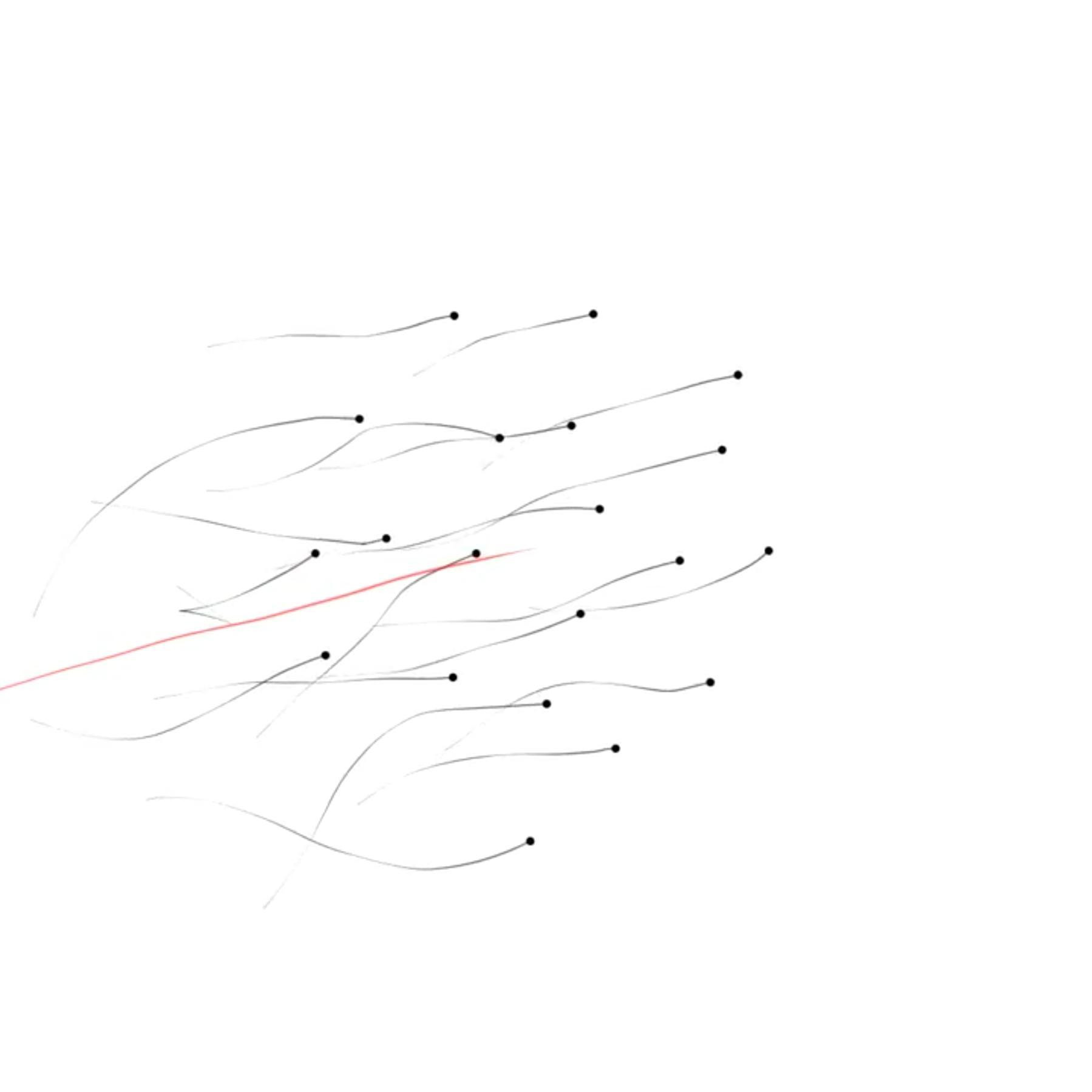 A Model of Collective Movement Driven by the Visual Field (itch) - кадр 4