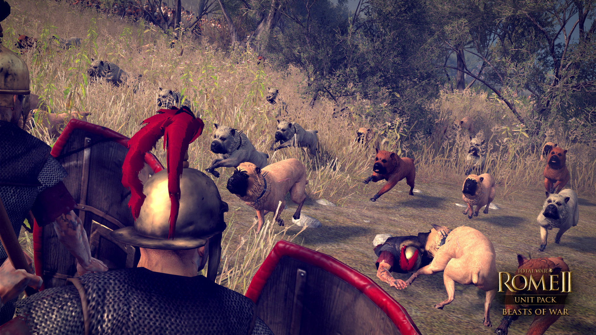 Total War: Rome II - Beasts of War - кадр 4