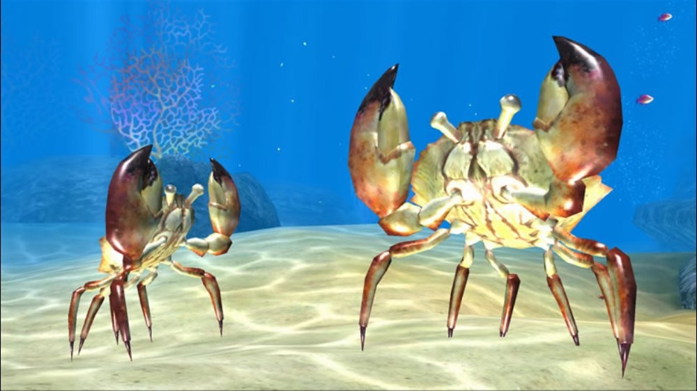 Sealife Safari - кадр 10