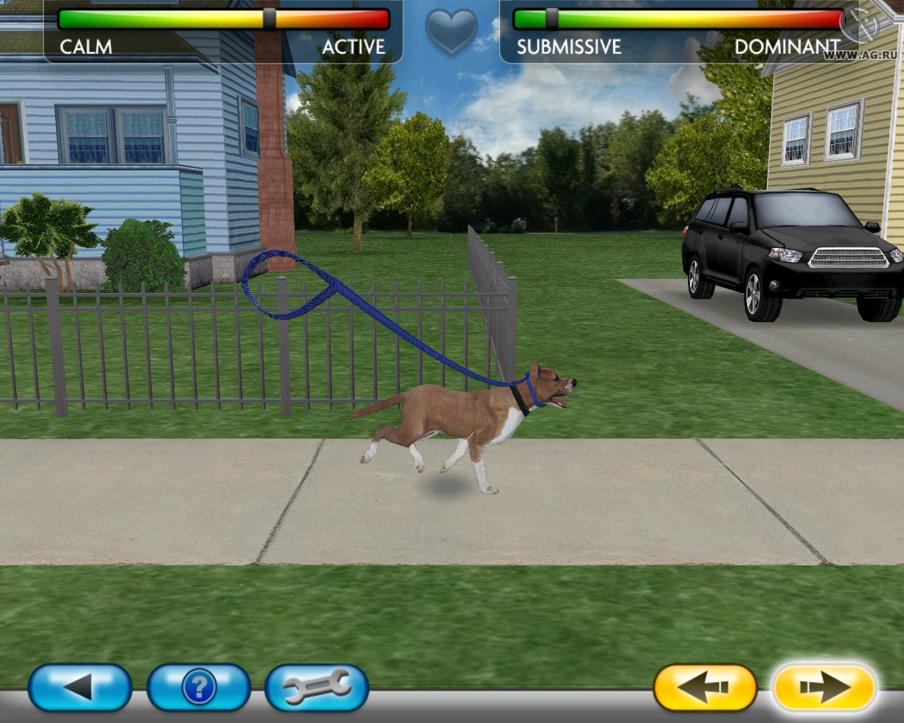 Cesar Millan's Dog Whisperer - кадр 8