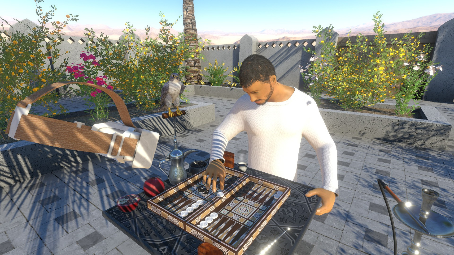 Backgammon, Chess & Checkers - кадр 2