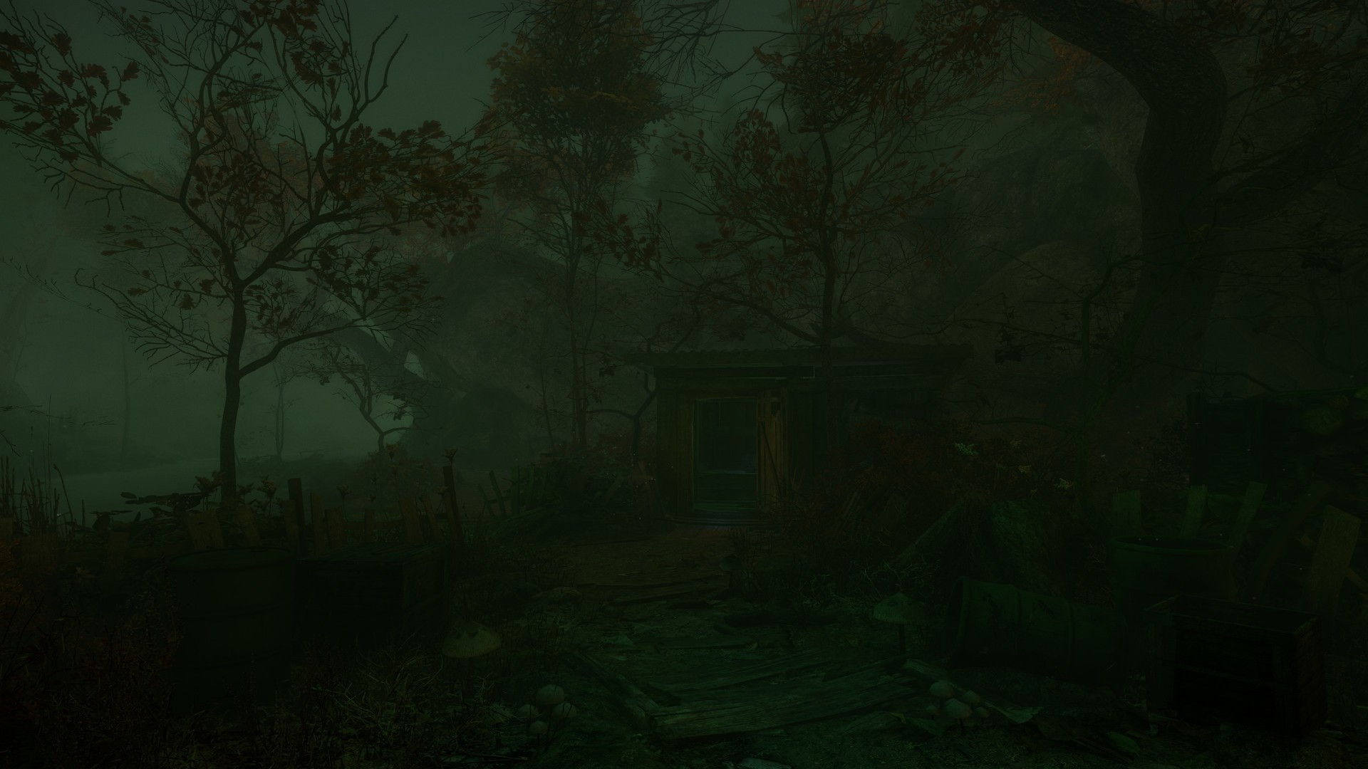 The Cursed Forest - кадр 8