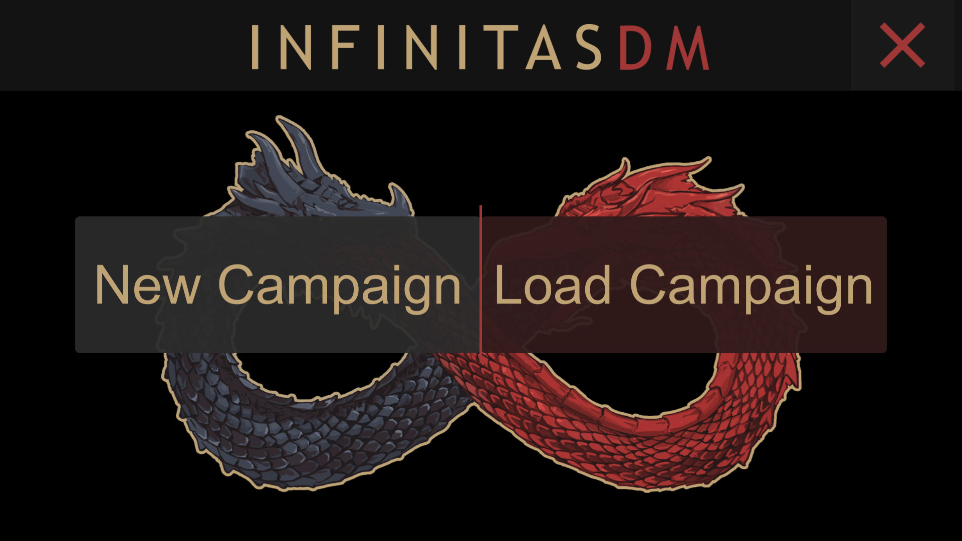 InfinitasDM - кадр 5