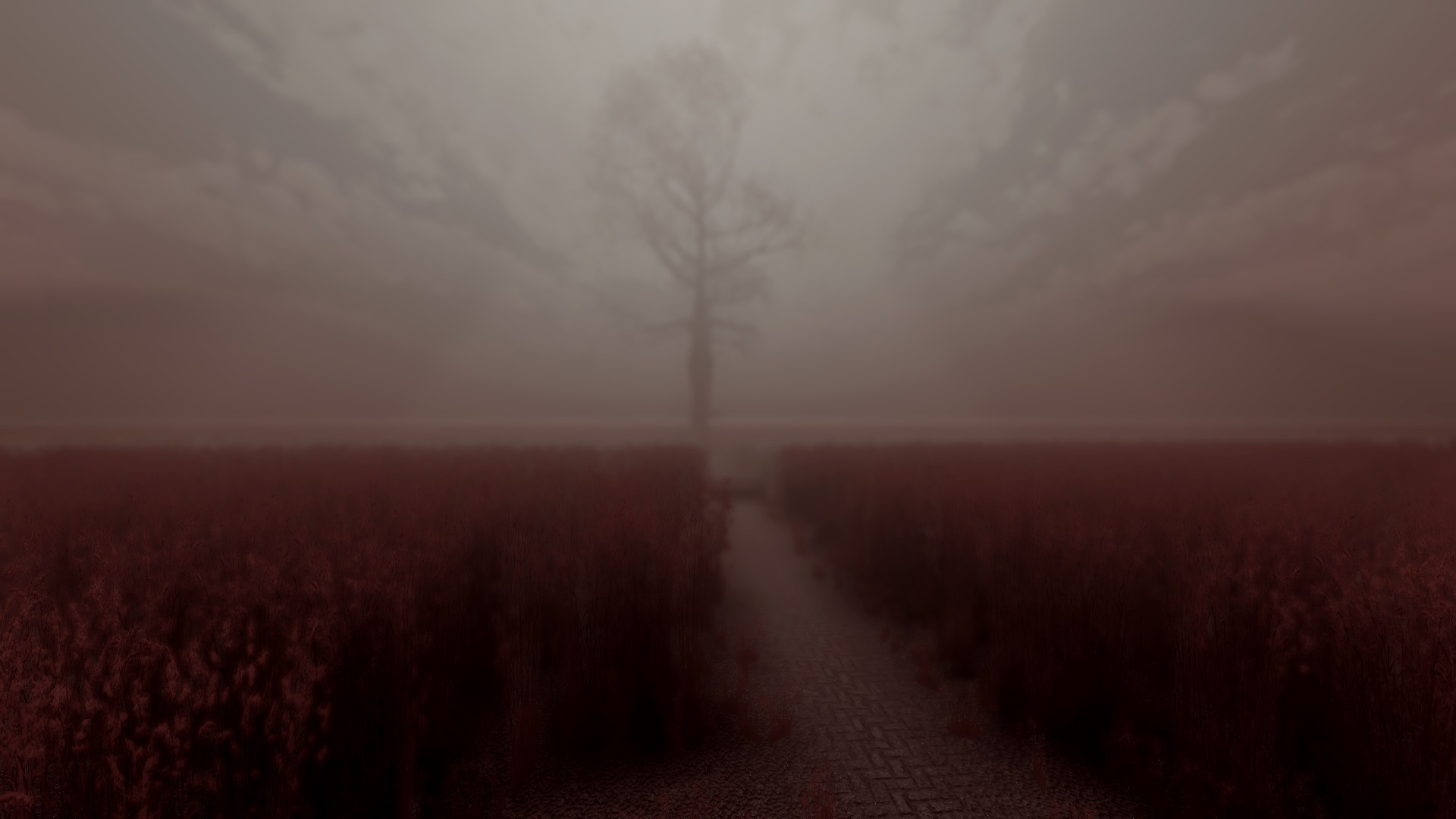 My Bones Remastered - кадр 4