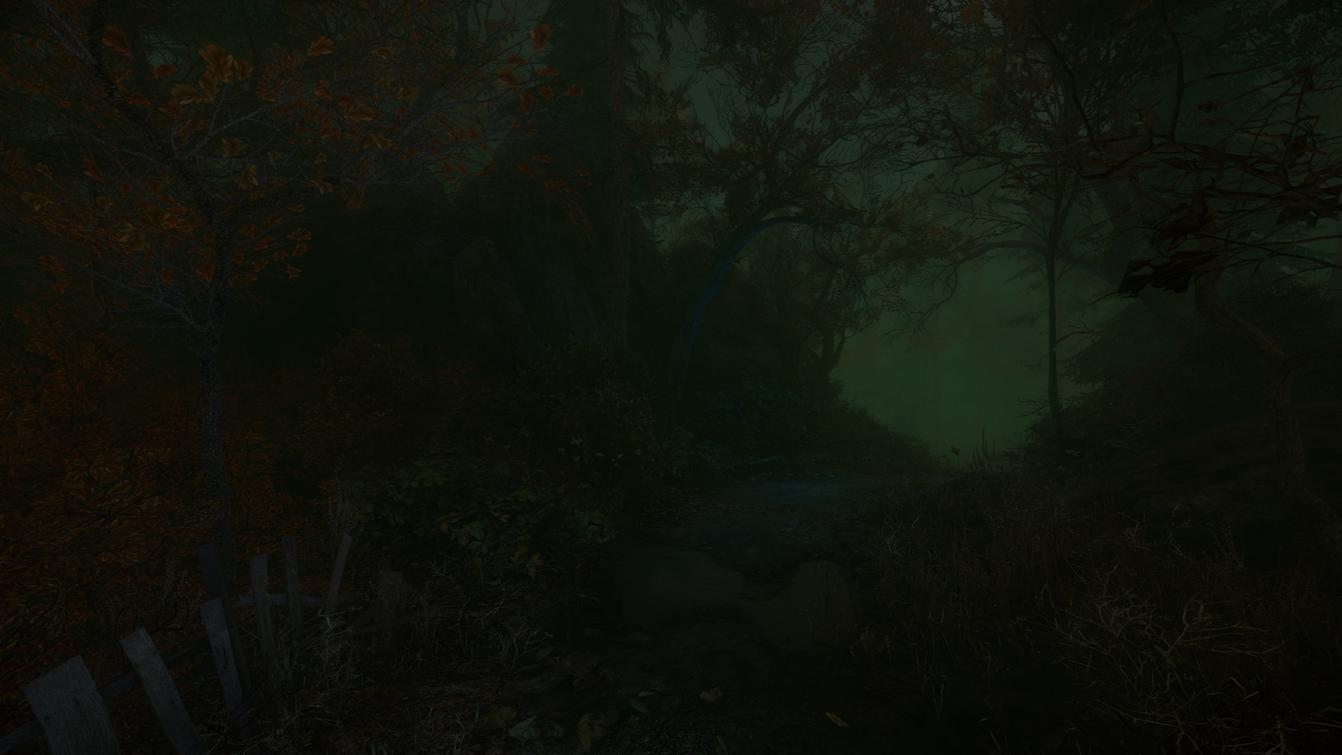 The Cursed Forest - кадр 9