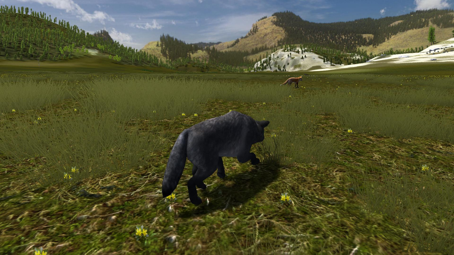 WolfQuest - кадр 7
