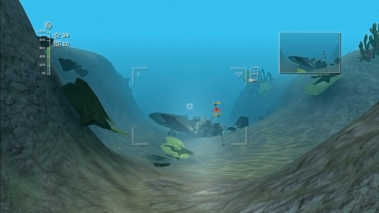 Reef Shot - кадр 4