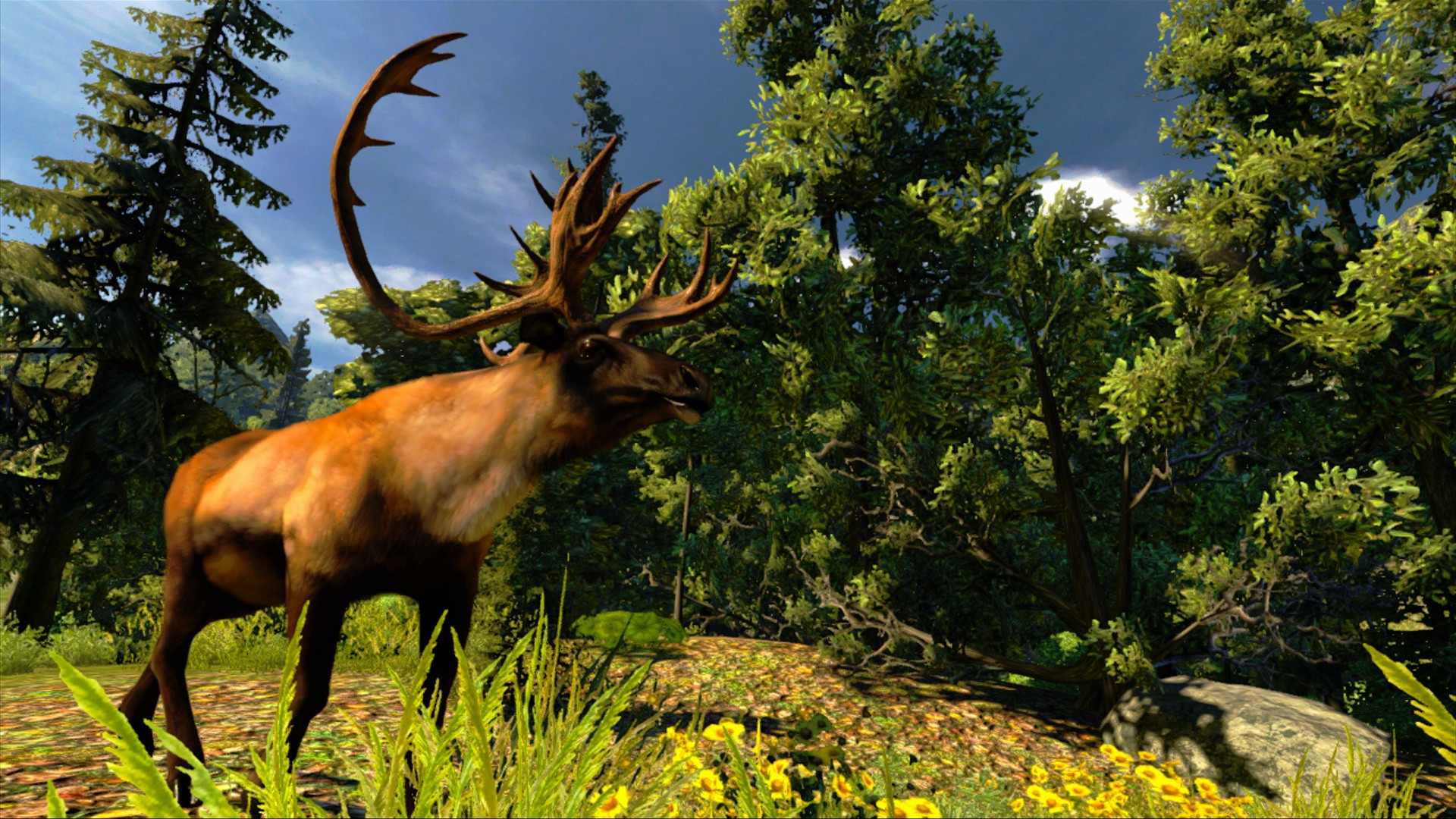 Cabela's Hunting Expeditions - кадр 2