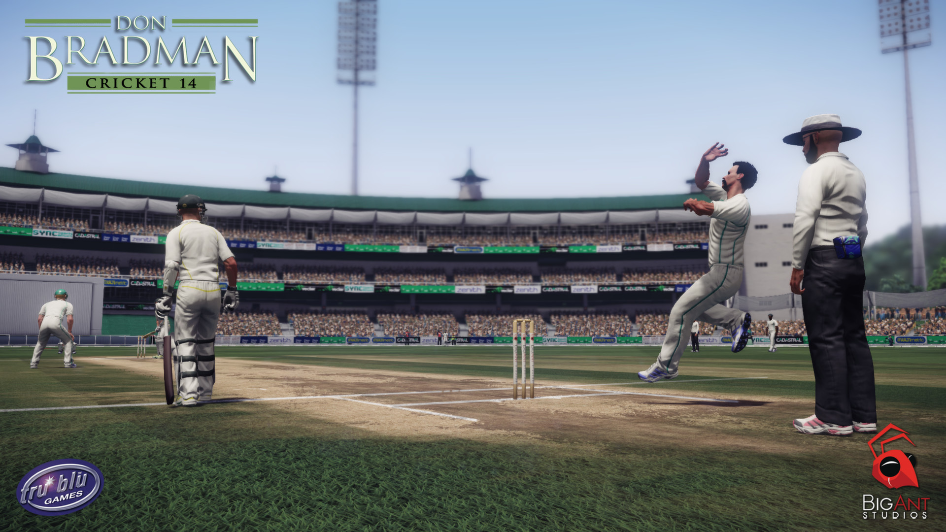 Don Bradman Cricket 14 - кадр 7