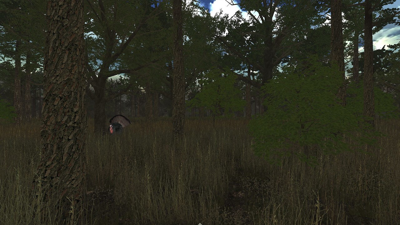 Wild Turkey Hunter VR - кадр 3