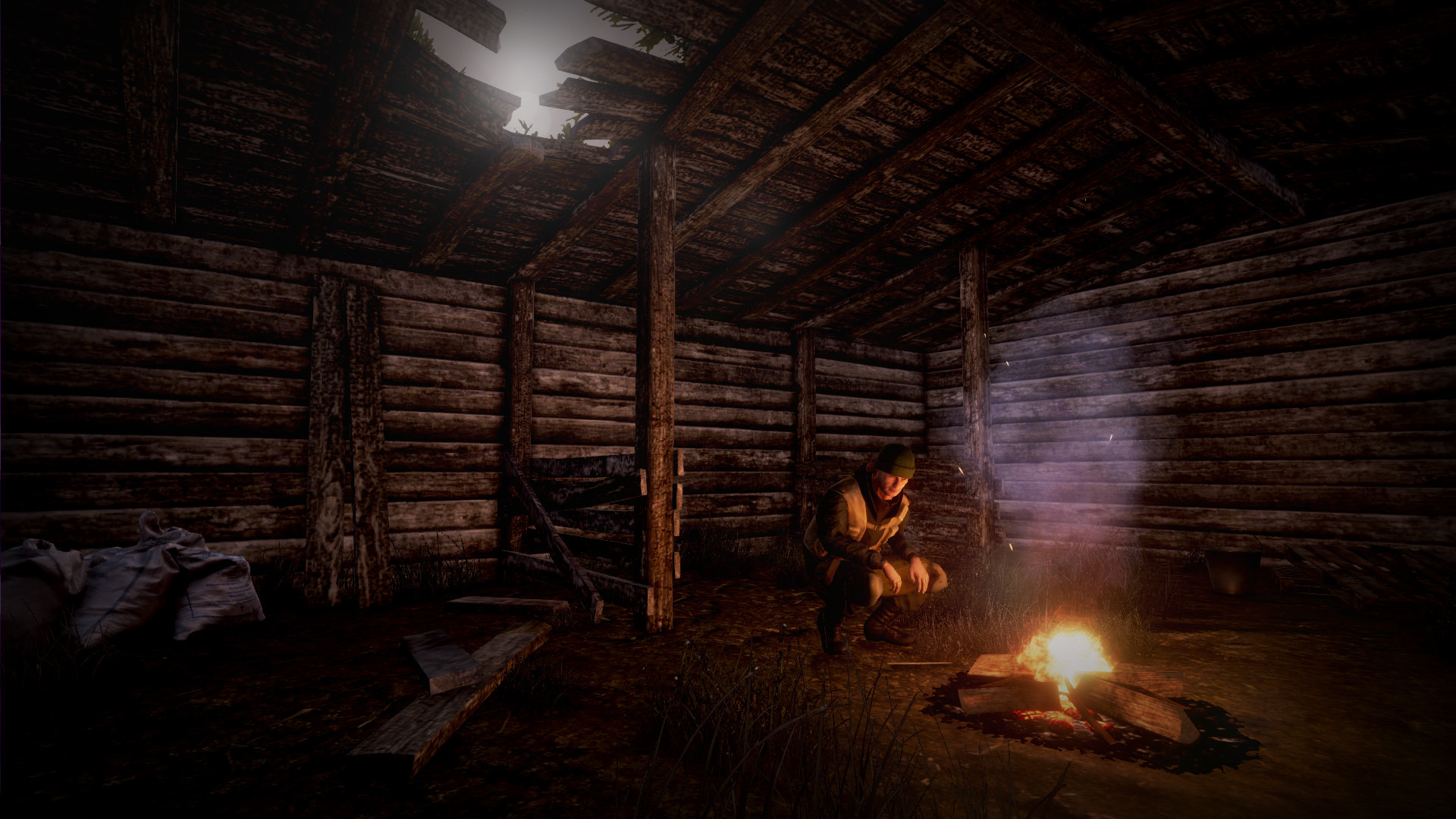 Next Day: Survival - кадр 14