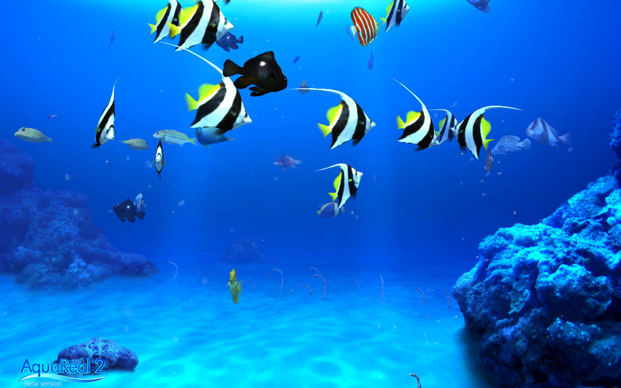 DigiFish Aqua Real 2 - кадр 7