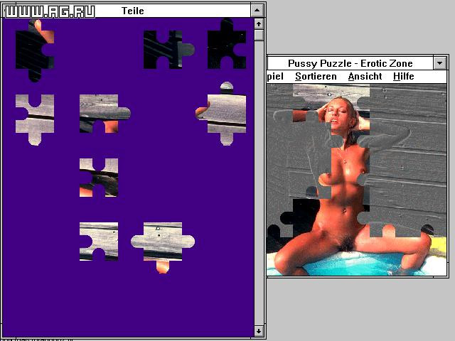 Erotic Zone: Pussy Puzzle - кадр 3
