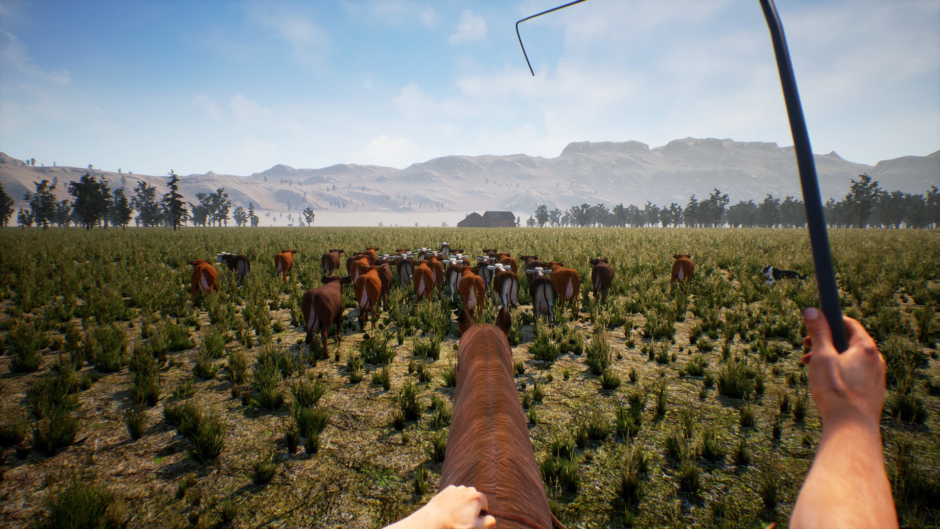 Cowboy Life Simulator - кадр 5