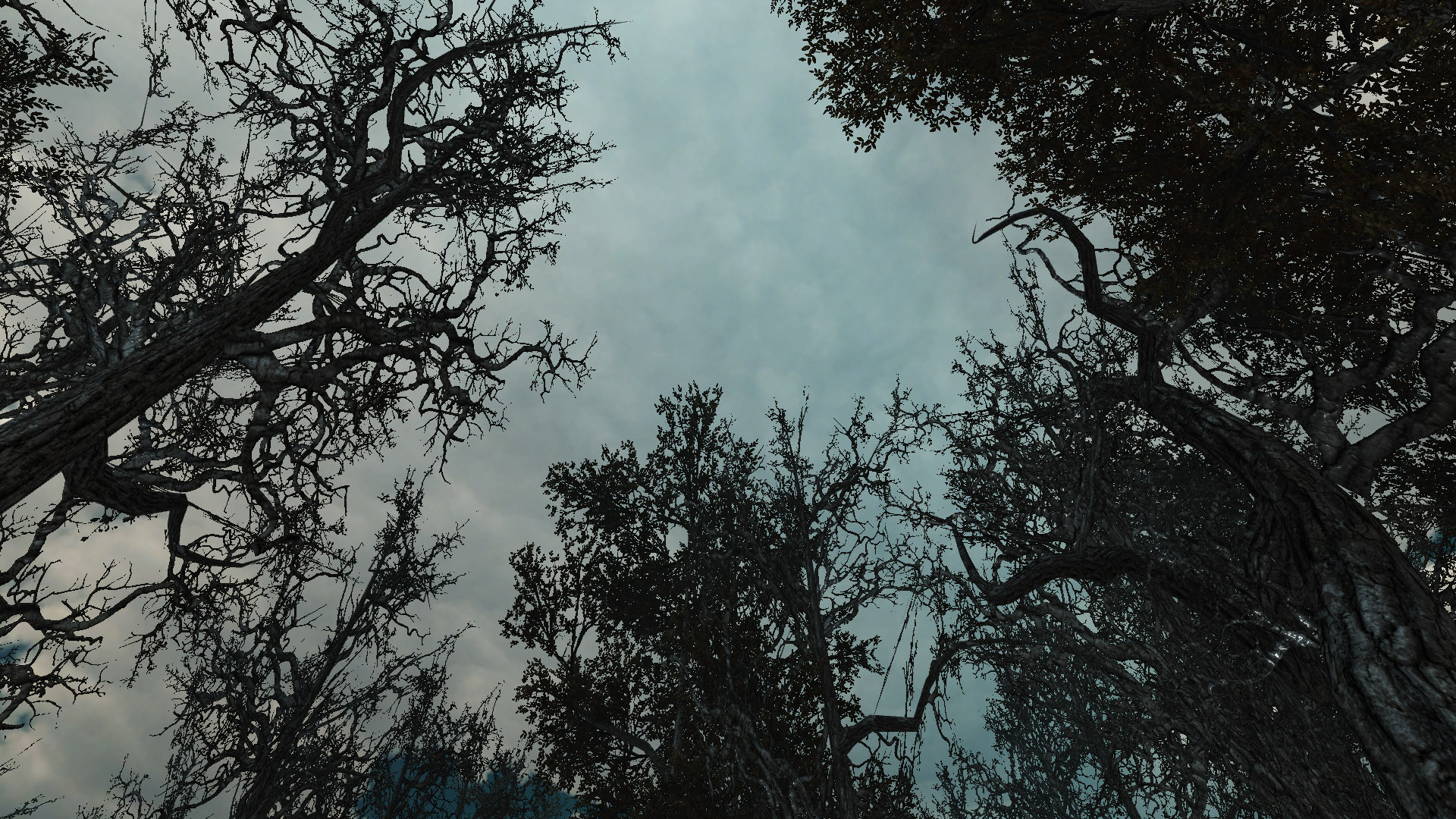 Bloodwood Reload - кадр 7