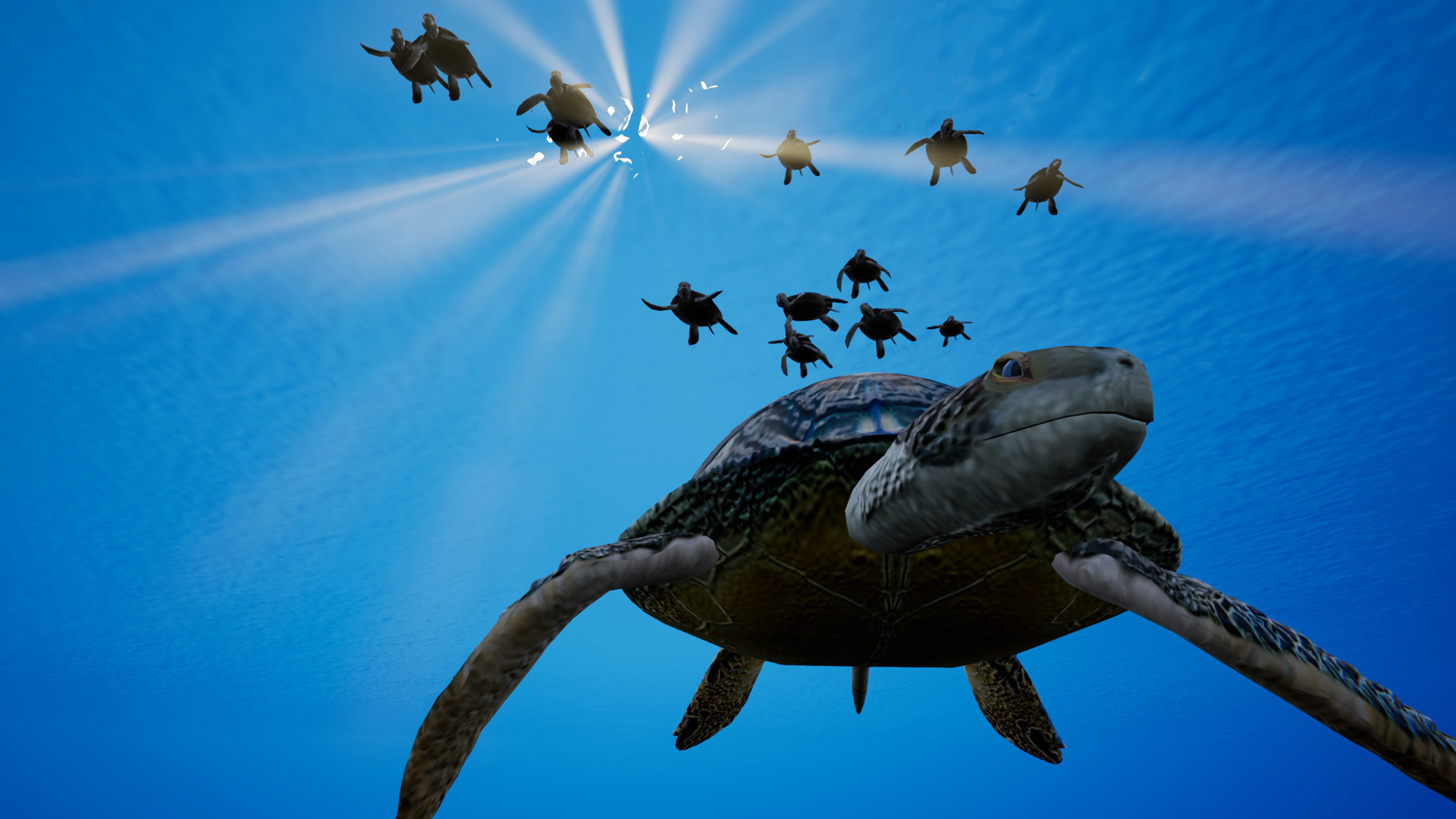 Call of the Ocean - кадр 5