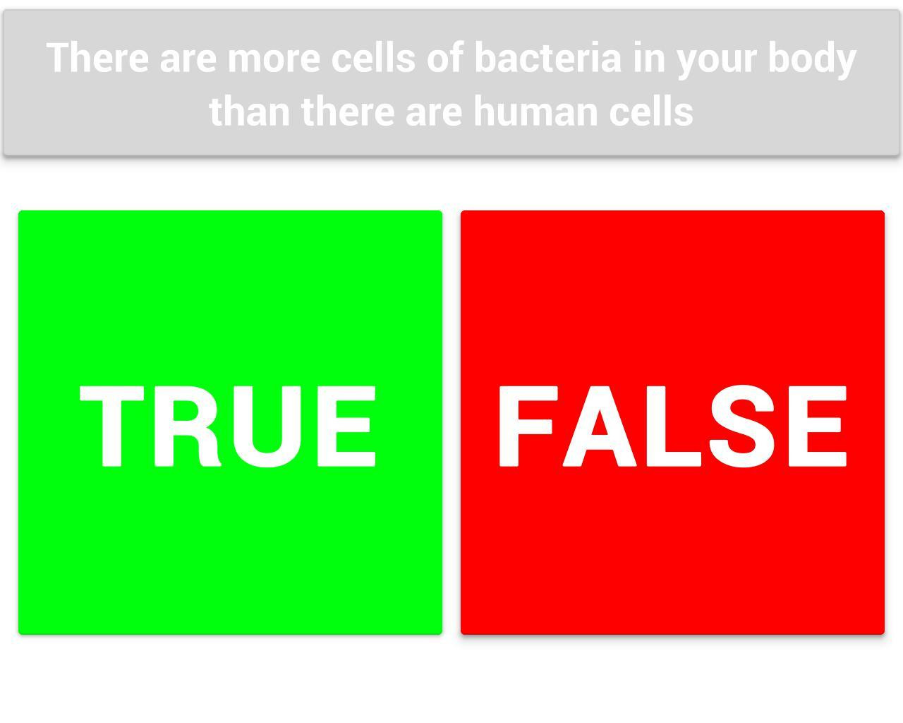 True or False (itch) - кадр 3