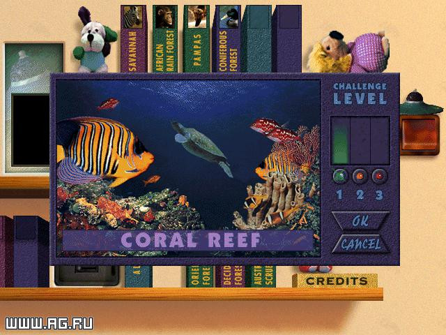 Digital Photo Puzzle - кадр 4
