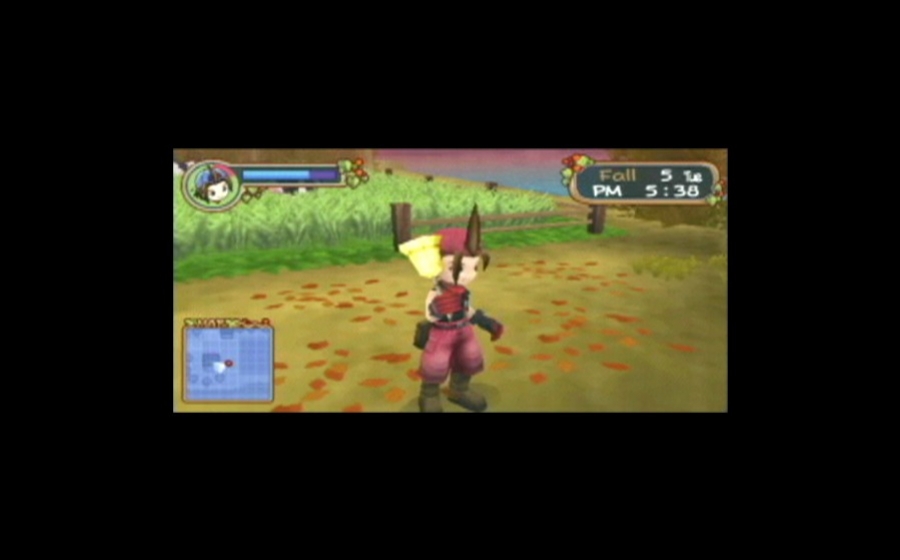 Harvest Moon: Hero of Leaf Valley - кадр 14