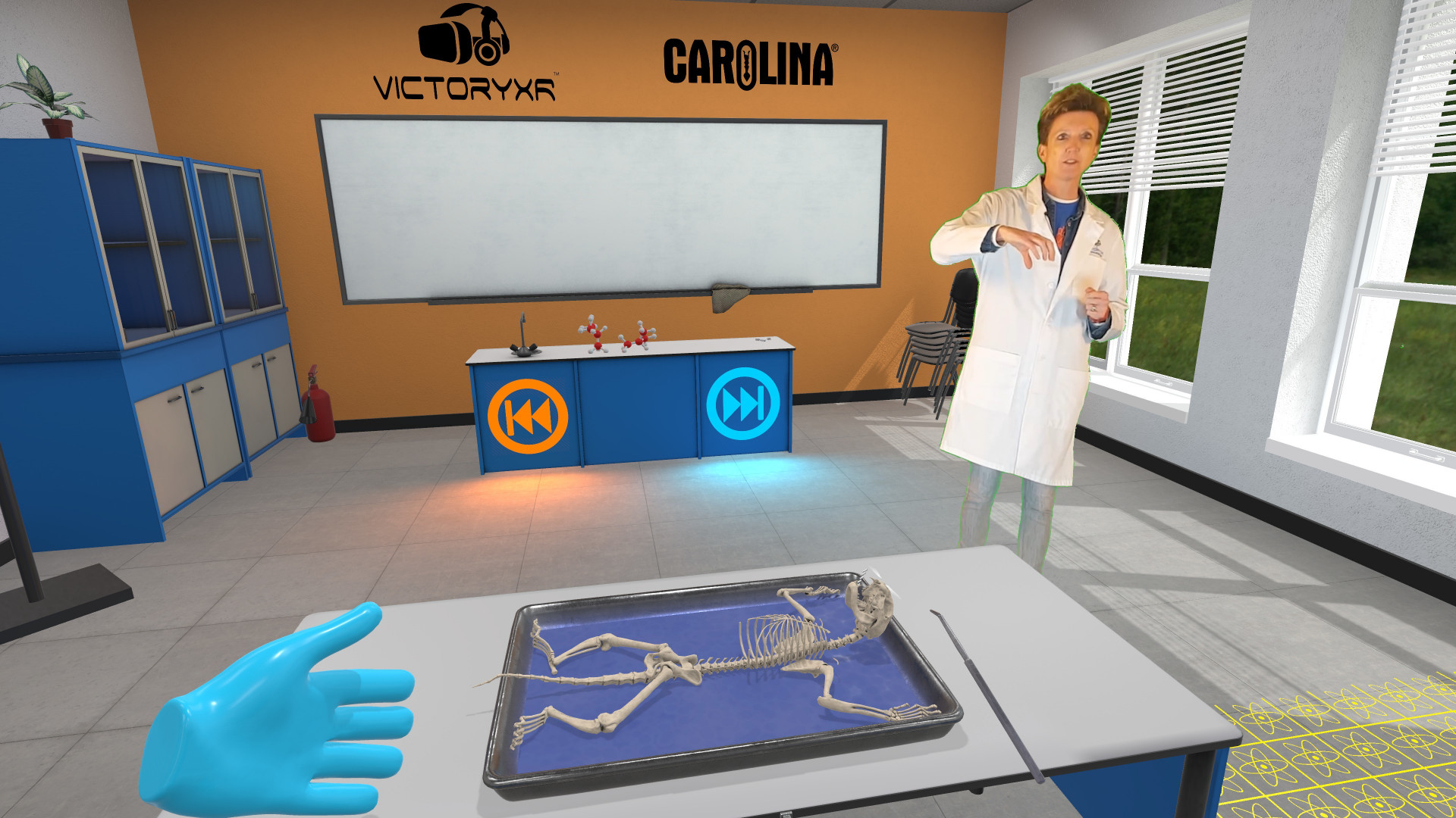 VR Cat Dissection: Purr-fect Procedure (itch) - кадр 2