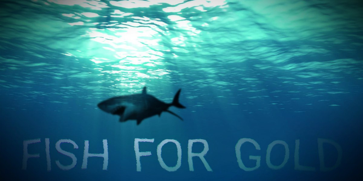 Fish for gold - кадр 3