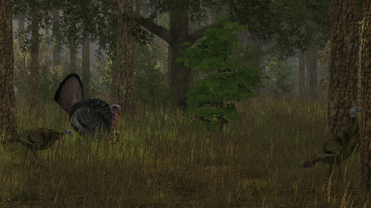 Wild Turkey Hunter - кадр 6
